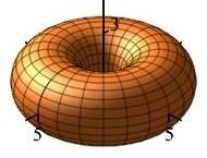 xcyldonut