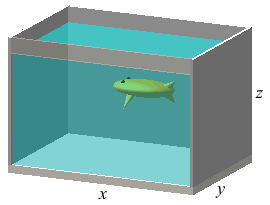 x_aquarium