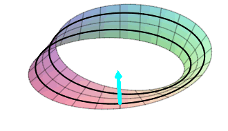 The plot shows a Möbius Strip which is a cylinder with a twist.
    There is a normal rotating around the
    strip starting near the bottom pointing outward, but when it comes around,
    it is pointing inward near the top, and when it comes around again, it
    is pointing outward again near the bottom. This means that the inward
    and outward sides of the surface are really only one surface, not two.